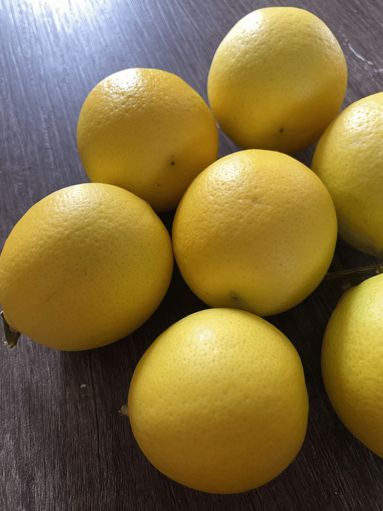 garden grown meyer lemons