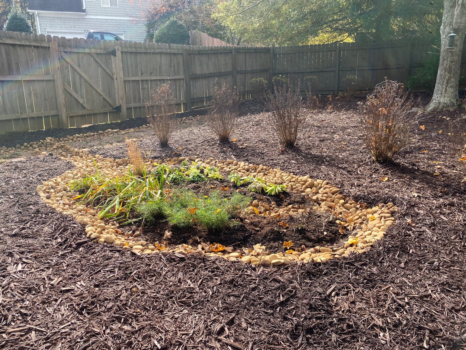 Fall Installed Rain Garden