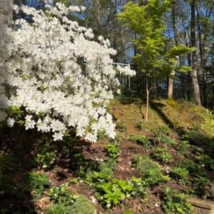 Full Front and Back Yard Site Plan and Garden Design - For Metro Atlanta Installations Only