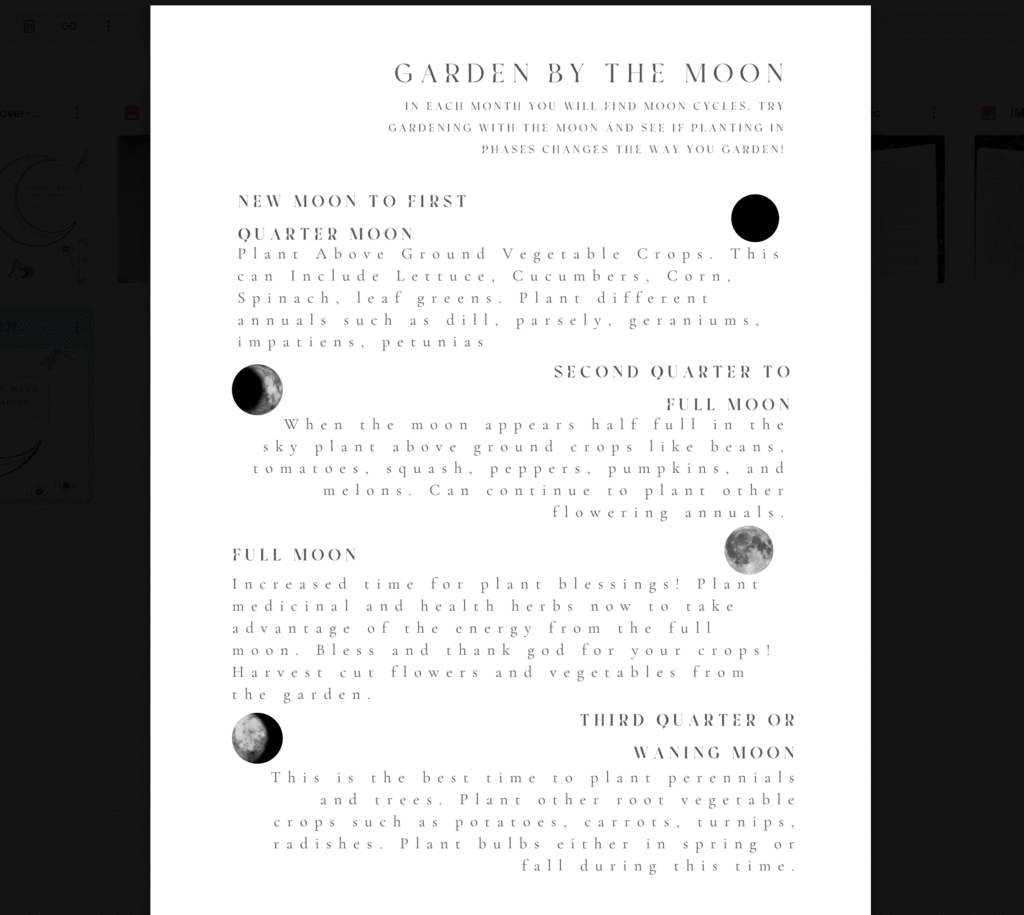 Garden with the Moon - 2027 Monthly Garden Planner - Digital Download