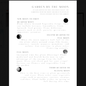 Garden with the Moon - 2027 Monthly Garden Planner - Digital Download - Image 3