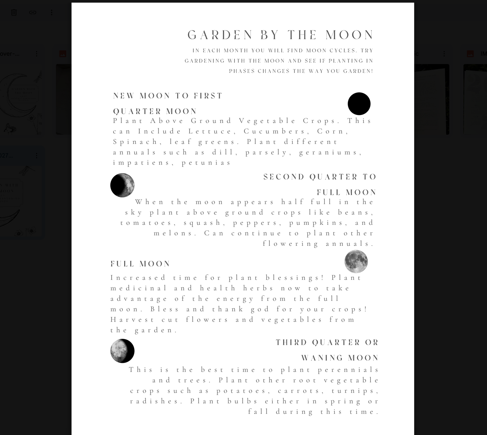 Garden with the Moon - 2027 Monthly Garden Planner - Digital Download - Image 3