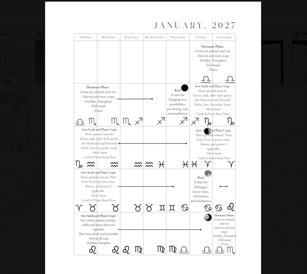Garden with the Moon - 2027 Monthly Garden Planner - Digital Download