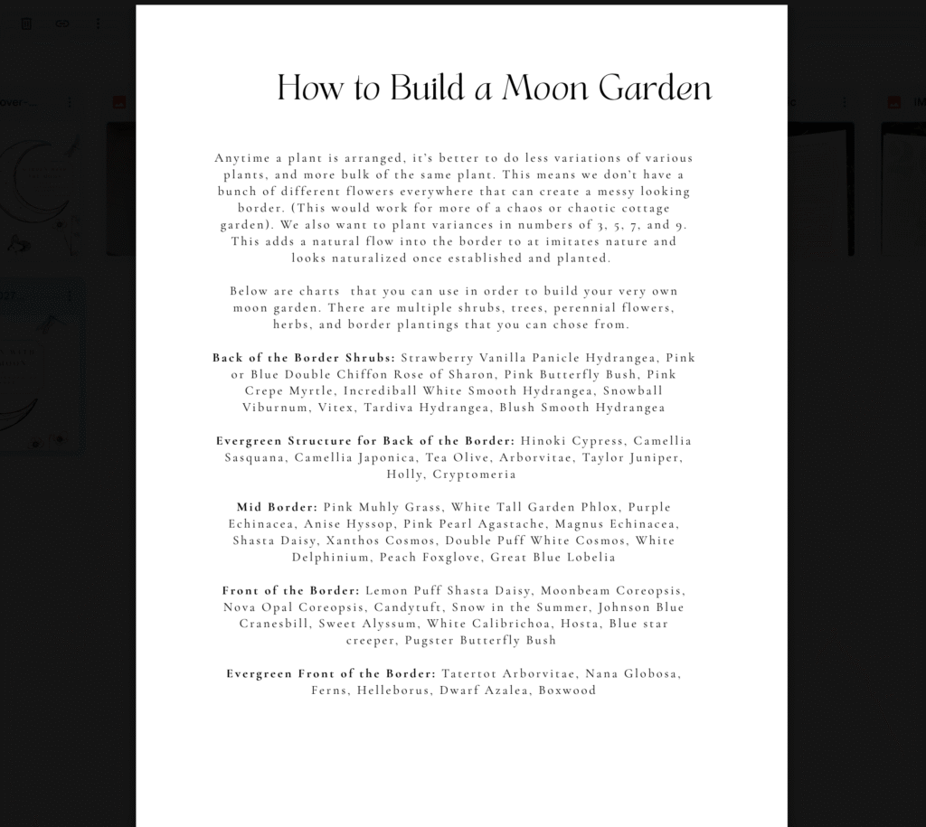 Garden with the Moon - 2027 Monthly Garden Planner - Digital Download